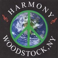 Jess Wayne Solo at Harmony Cafe Woodstock