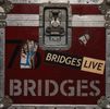 7 Bridges LIVE Pre-Sale