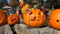 Alice Hasen & the Blaze at the Pumpkin Pickin' Festival