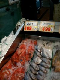 Idiot Fish