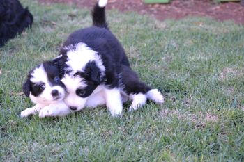 BONNIE & MOLLY
