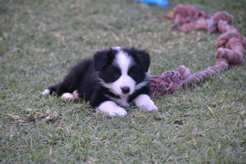 EDDIE-sold
