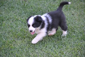 Max
