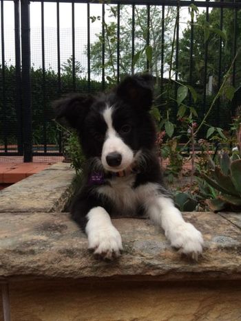 MYF in the garden
