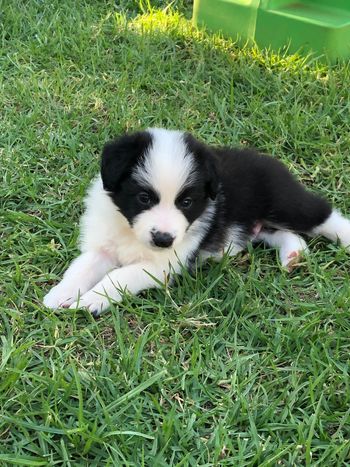 Max
