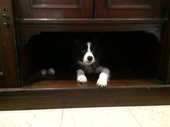 MYF hiding
