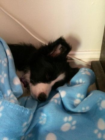 MYF sleeping after a long day playing
