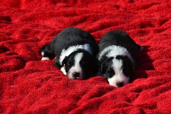 BOY 4 AND BOY 5
