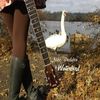 Waterbird - CD