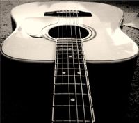 The Thompson Duo