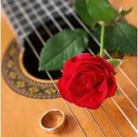 Sandra plays a private wedding!