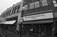 Old Havana Cigar Co.