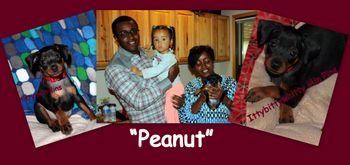"Peanut"
