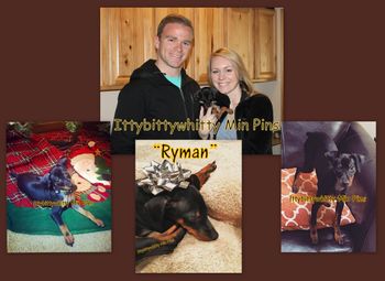 "Ryman"
