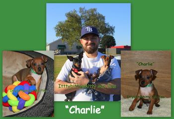 "Charlie"
