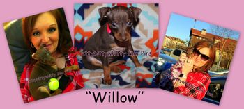 "Willow"
