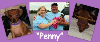 "Penny"

