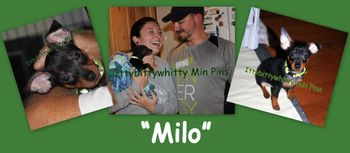 "Milo"
