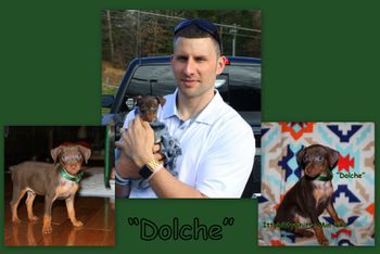 "Dolche"
