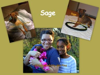 "Sage"
