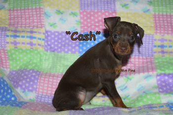 "Cash"
