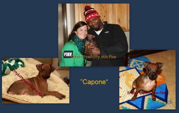 "Capone"
