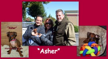 "Asher"
