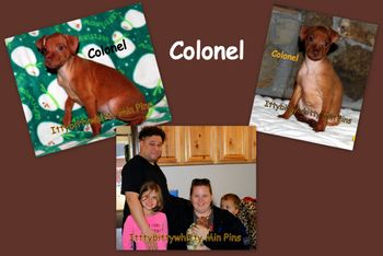 "Colonel"

