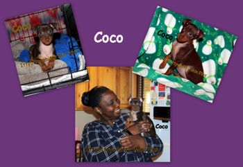 "Coco"

