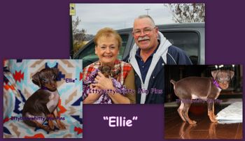 "Ellie"
