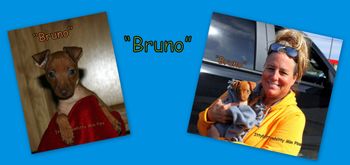 "Bruno"
