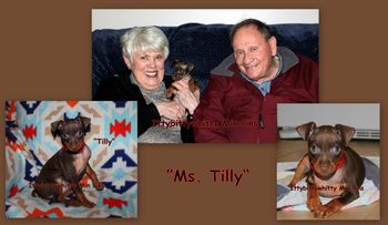 "Ms. Tilly"
