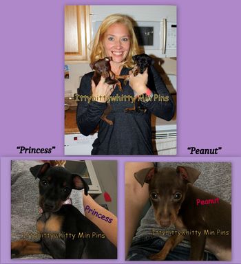 "Princess & Peanut"
