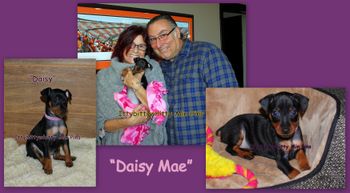 "Daisy Mae"
