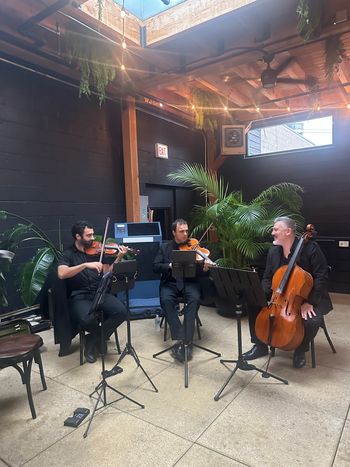The soundtrack to a celebration at one of our favorite Chicago spots. Parkwest Strings at Chicago Winery.
