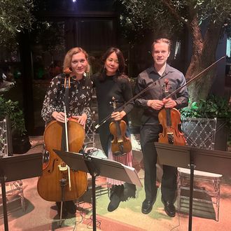 Parkwest Strings string trio playing for an intimate indoor event, three musicians offering a warm and balanced sound.