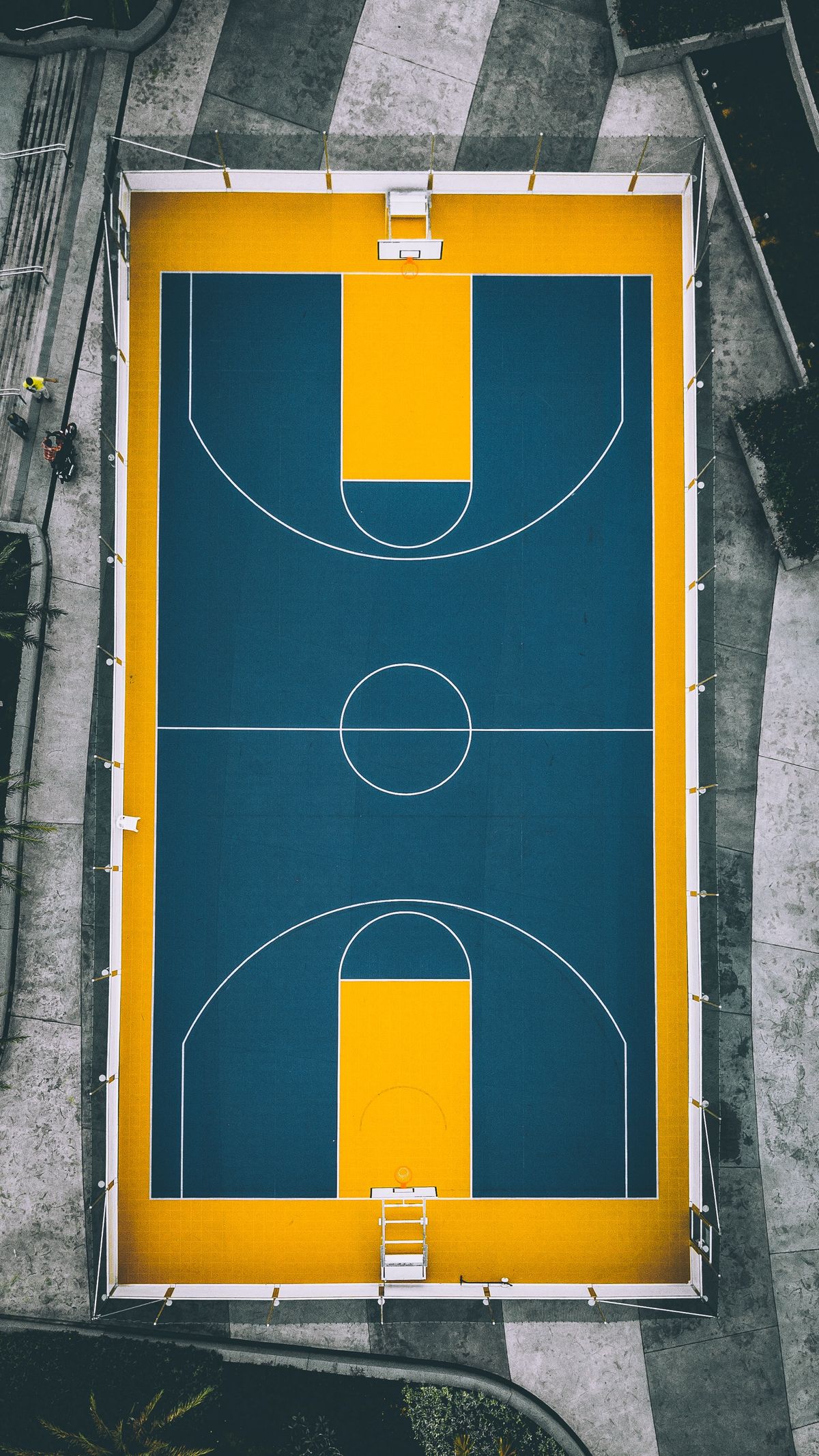 Performance Basketball