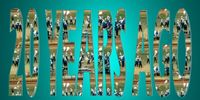 Teal Sound 20th Reunion 