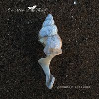 Acoustic Sessions  by Courteous Thief