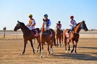 Muttaburra Races