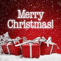 Coffs Harbour Probus Club Christmas Party