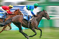 Muttaburra Races