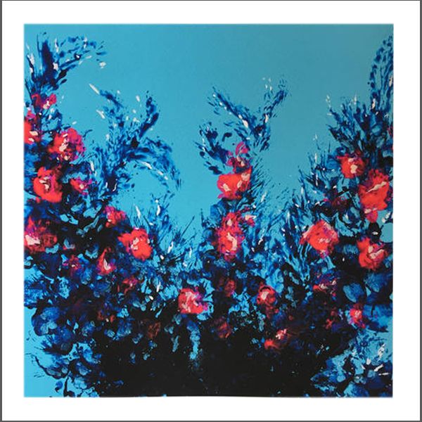 Burning Bush Print