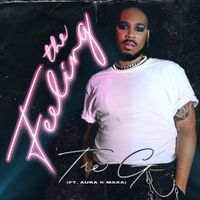 The Feeling  by Tre G