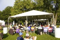 Denver Sloan's Lake Art & Music Festival