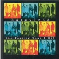 The Feeling that I Get by Bassology