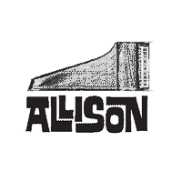 ALLISON in concert
