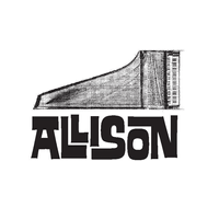 ALLISON in concert