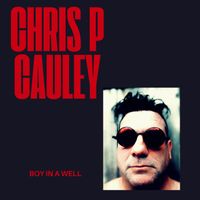 BOY IN A WELL by Chris P. Cauley