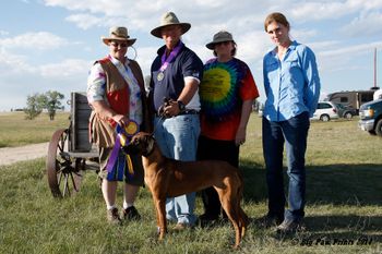 Lila Best of Breed Grand National Sept. 2014
